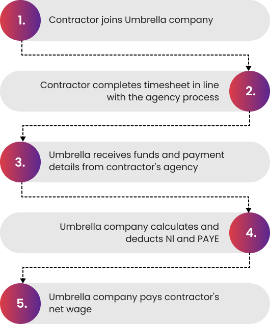 Umbrella Companies process